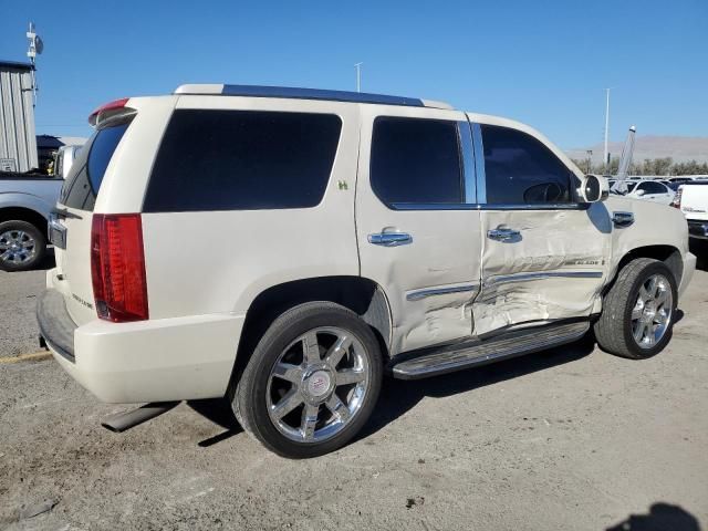 2009 Cadillac Escalade Hybrid