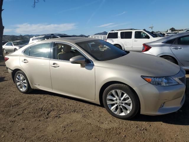 2014 Lexus ES 300H