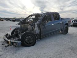 Salvage cars for sale at Arcadia, FL auction: 2016 Ford F150 Supercrew