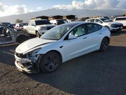 Salvage cars for sale at Kapolei, HI auction: 2021 Tesla Model 3