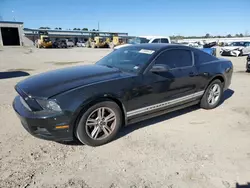 Salvage cars for sale at Harleyville, SC auction: 2014 Ford Mustang