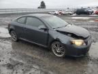 2005 Scion TC