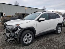 Toyota salvage cars for sale: 2020 Toyota Rav4 XLE