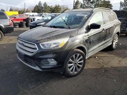 Salvage cars for sale from Copart Denver, CO: 2018 Ford Escape SE