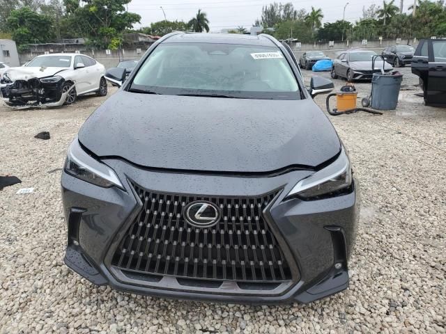 2024 Lexus NX 250 Base