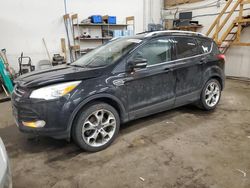 Salvage cars for sale at Ham Lake, MN auction: 2013 Ford Escape Titanium