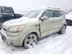 2010 KIA Soul +