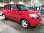 2010 KIA Soul +