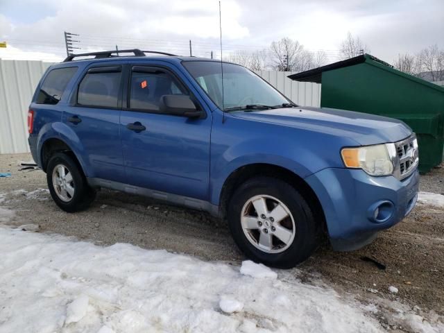 2010 Ford Escape XLS