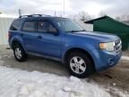 2010 Ford Escape XLS