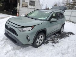 Salvage cars for sale at Albany, NY auction: 2019 Toyota Rav4 XLE