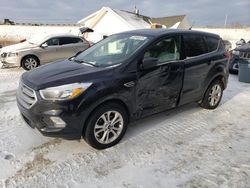 Salvage cars for sale at Northfield, OH auction: 2019 Ford Escape SE