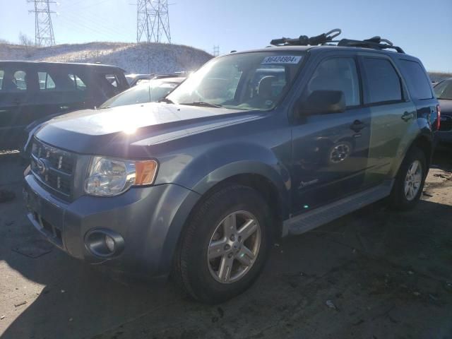 2010 Ford Escape Hybrid