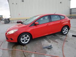 Salvage cars for sale at Haslet, TX auction: 2014 Ford Focus SE