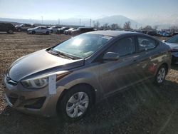 Hyundai salvage cars for sale: 2016 Hyundai Elantra SE