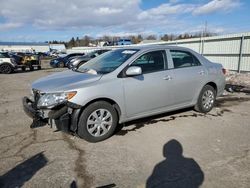 Toyota Corolla salvage cars for sale: 2010 Toyota Corolla Base