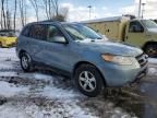 2007 Hyundai Santa FE GLS