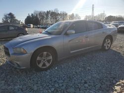 Dodge Charger Vehiculos salvage en venta: 2013 Dodge Charger SE