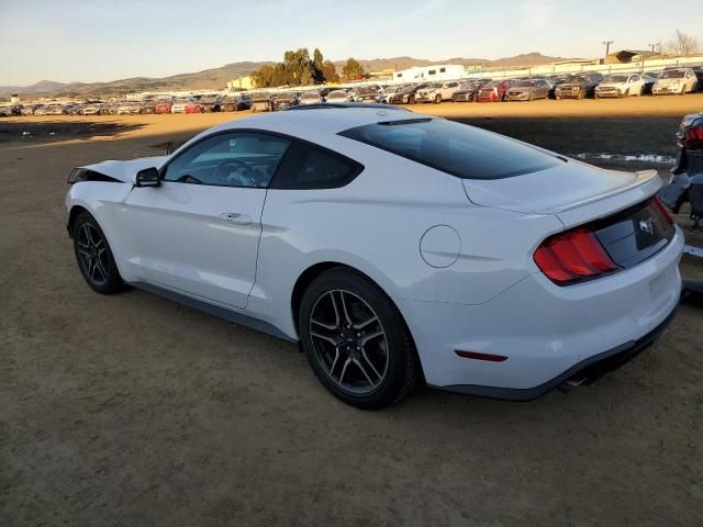 2019 Ford Mustang