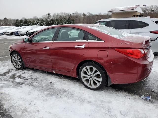 2013 Hyundai Sonata SE