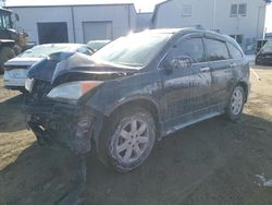 Salvage cars for sale at Windsor, NJ auction: 2007 Honda CR-V LX