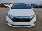 2024 Honda Odyssey EXL