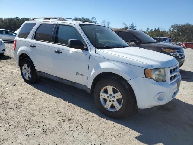 2012 Ford Escape Hybrid