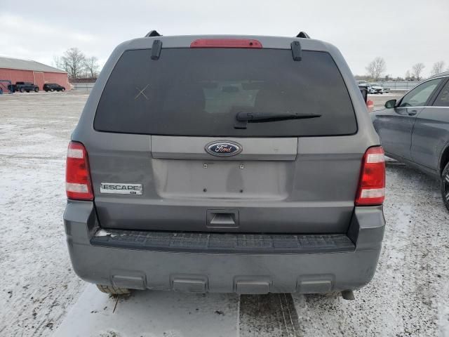 2010 Ford Escape XLT