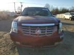 2009 Cadillac Escalade ESV Luxury