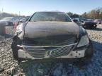 2007 Lexus LS 460