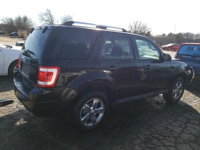 2011 Ford Escape Limited