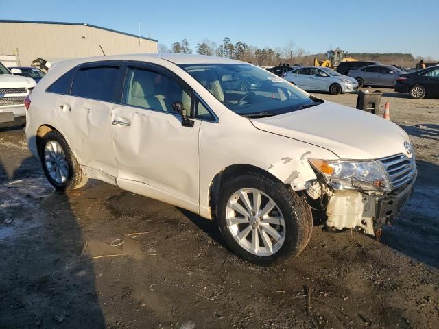 2010 Toyota Venza