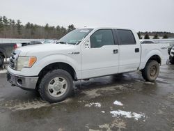 Ford salvage cars for sale: 2012 Ford F150 Supercrew