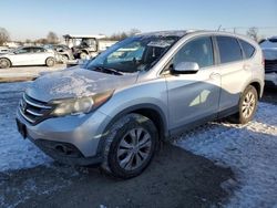 Salvage cars for sale at Hillsborough, NJ auction: 2013 Honda CR-V EX