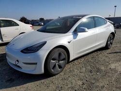 Salvage cars for sale at Antelope, CA auction: 2019 Tesla Model 3