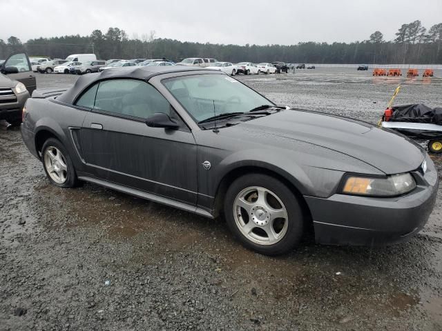 2004 Ford Mustang