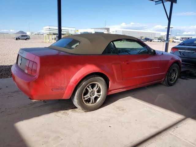 2005 Ford Mustang