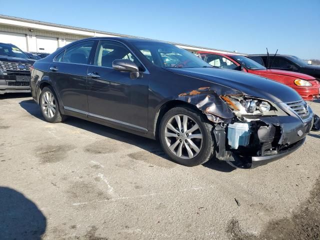 2010 Lexus ES 350