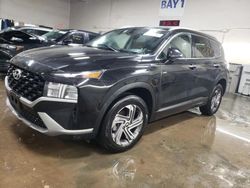 Salvage cars for sale at Elgin, IL auction: 2023 Hyundai Santa FE SEL