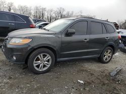 Hyundai salvage cars for sale: 2010 Hyundai Santa FE Limited