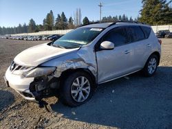 Nissan salvage cars for sale: 2014 Nissan Murano S/S