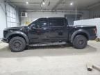 2019 Ford F150 Raptor