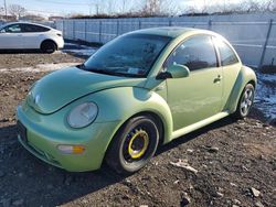 Salvage cars for sale from Copart Marlboro, NY: 2003 Volkswagen New Beetle GLS