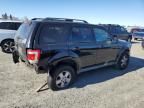 2009 Ford Escape XLT