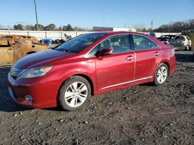 2010 Lexus HS 250H