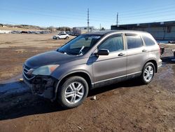 Salvage cars for sale at Colorado Springs, CO auction: 2010 Honda CR-V EXL