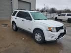 2008 Ford Escape XLS