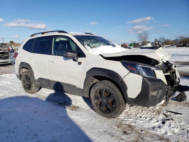 2023 Subaru Forester Wilderness