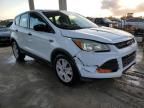 2014 Ford Escape S