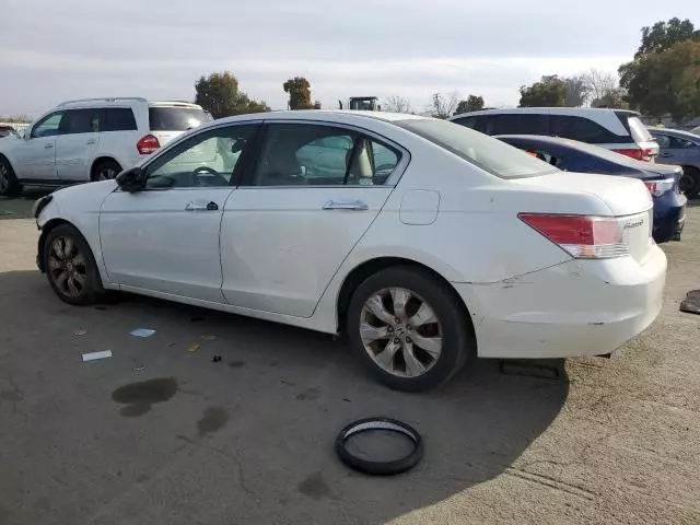 2009 Honda Accord EXL